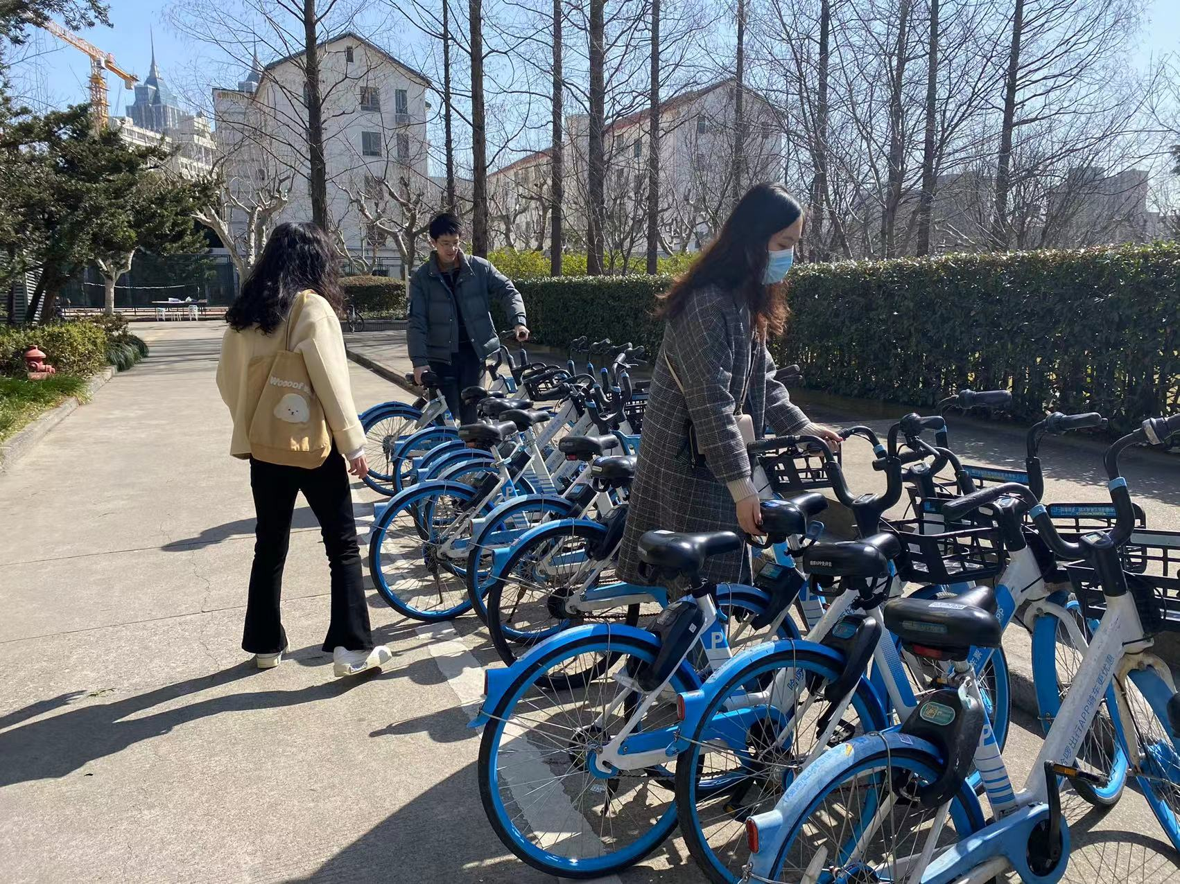 伟德体育官网