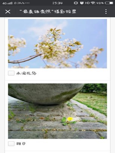 伟德体育官网